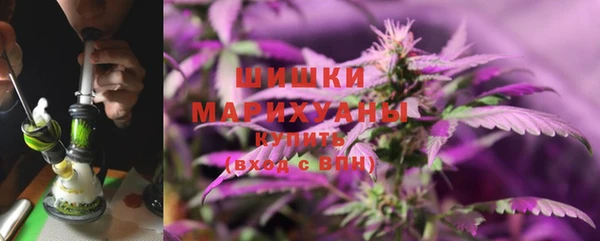 сатива Козельск