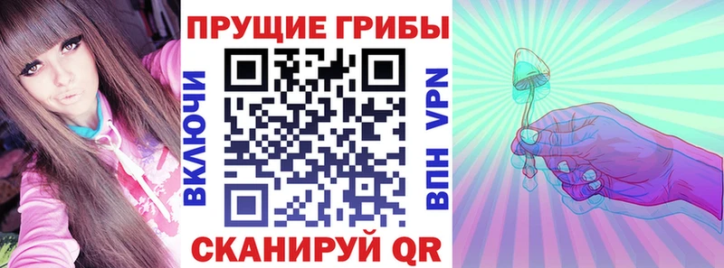 Псилоцибиновые грибы GOLDEN TEACHER  Сунжа 
