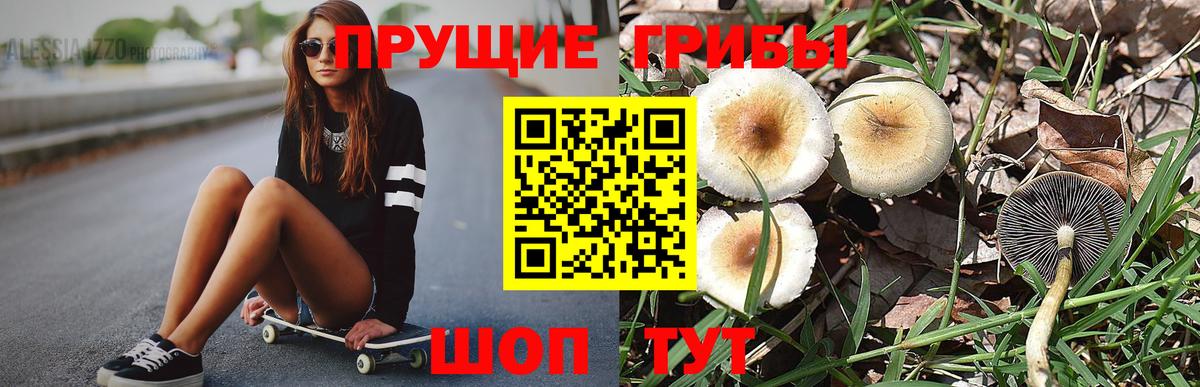 Галлюциногенные грибы Psilocybine cubensis  Вход с VPN  цены наркотик  Сунжа 