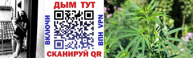 omg ссылка  площадка наркотические препараты  Шишки марихуана LSD WEED  Сунжа 